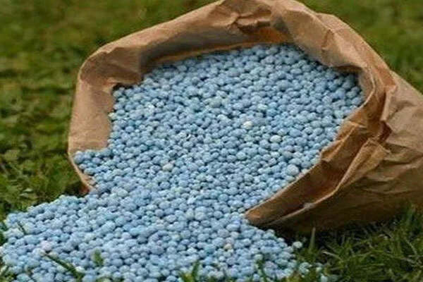 بیش از ۳۰ هزار تن کودهای کشاورزی یارانهدار توزیع شد