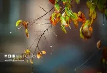 هواشناسی ایران امروز ۵ شهریور؛ بارش پراکنده و وزش باد در برخی نقاط